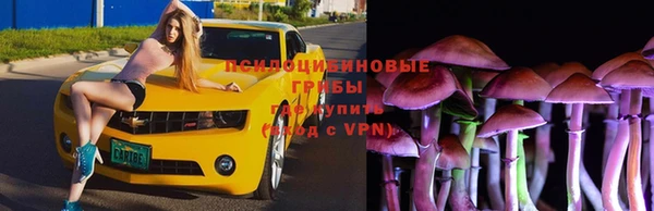 гашишное масло Дмитров