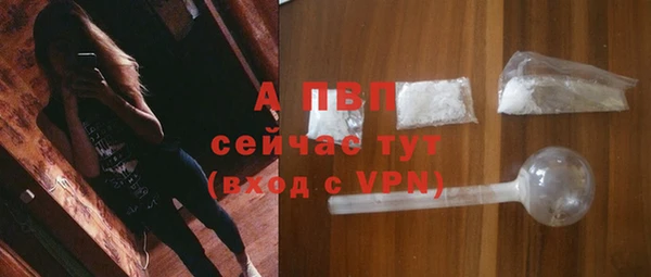 винт Дмитриев