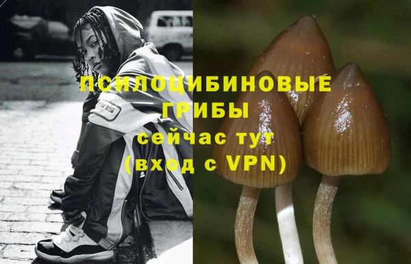 гашишное масло Дмитров