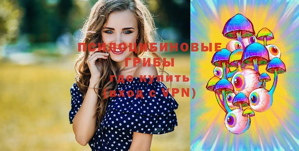 винт Дмитриев