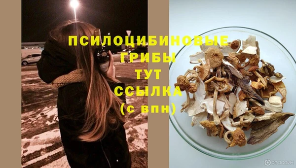 spice Дмитровск