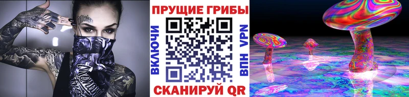 Псилоцибиновые грибы Psilocybine cubensis  Купить где  Верея 
